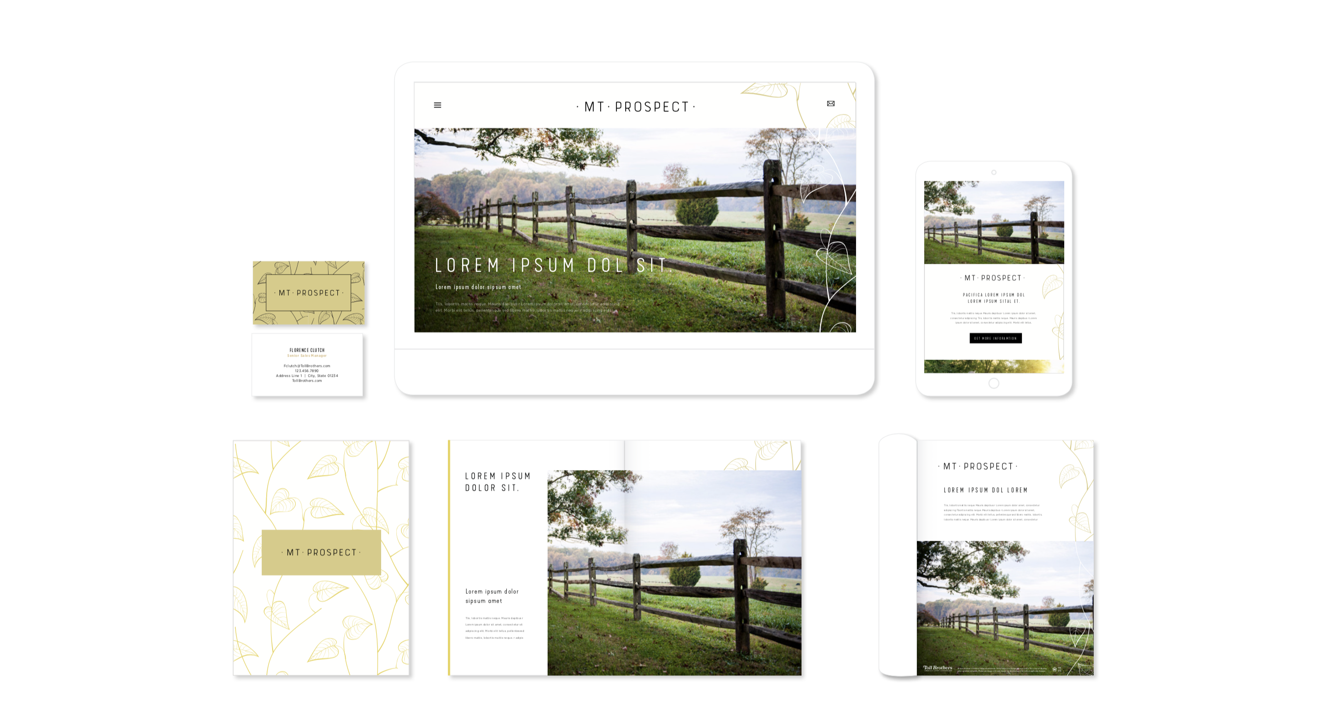 Mt. Prospect Mt. Prospect